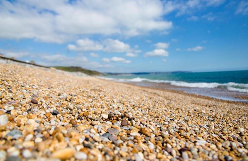 Beesands Hotel | The Cricket Inn