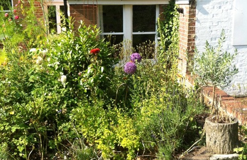 Twyford Cottage | The Down House Cottage less than 3 miles from the heart of historic Winchester.