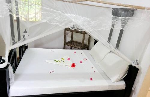 Mkunguni Bed & Breakfast | The Dream Garden Bungalow