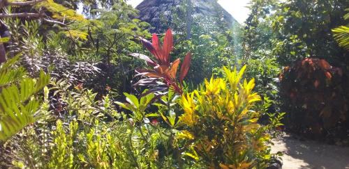 Mkunguni Bed & Breakfast | The Dream Garden Bungalow