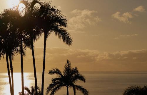 Port Douglas Villa | 'The Edge' Unique Luxury Experience