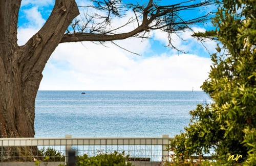 Indented Head Villa | The Esplanade Beach front, Luxury, Sleeps 8