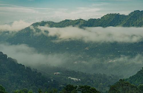 Dharampur Apartment | The Exotic Stays I Property of the year I Serviced Villa I Couple Friendly I Pvt Balcony I Open Air Terrace I Bonfire I Kasauli