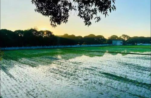 Floridablanca House | The Farmhouse Pampanga