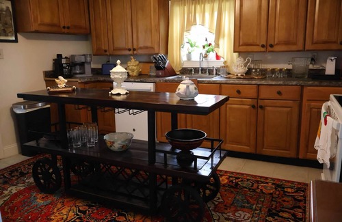 Georgetown House | THE GRAND MANOR WITH SOUTHERN HOSPITALITY in charming Georgetown