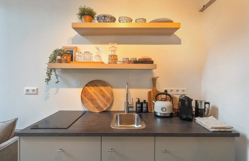 Zandvoort House | The Green Pine Tree