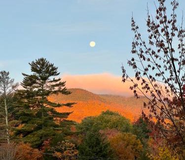 Waitsfield Hotel | The Griff Inn