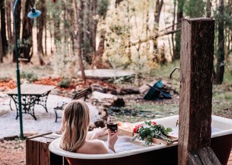Budgee Budgee House | The Gully - Dreamy Cabin on Acres of Outback Charm