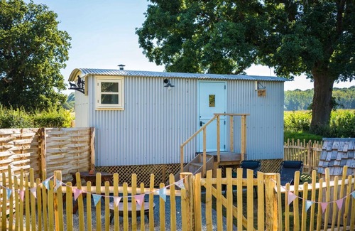 Whitestone Apartment | The Hideaway Hut - 1 Bed Shepherds Hut - Dodmarsh