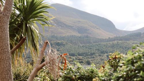 Newcastle House | The Hikers House - Award Winning 5 Star Retreat