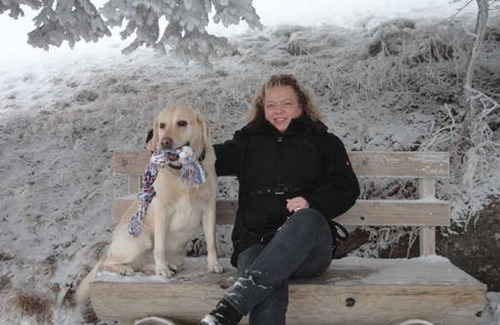 Steina Cabin | The HooksbowBlockhouse 2 - The HooksBow - Blockhouse 2