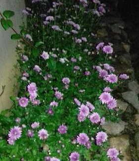 Kazanlak House | The House in Shipka