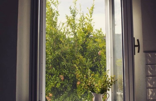 Montegiardino House | The House of Montegiardino