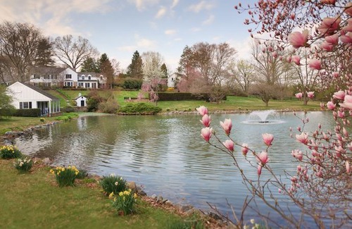 Centreville Hotel | The Inn At Whitewing Farm