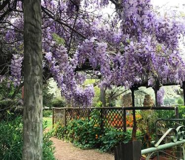 Katrine Apartment | The Inn, Historic Accommodation with mod cons