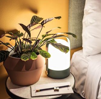 Potts Point Hotel | The Jensen Potts Point