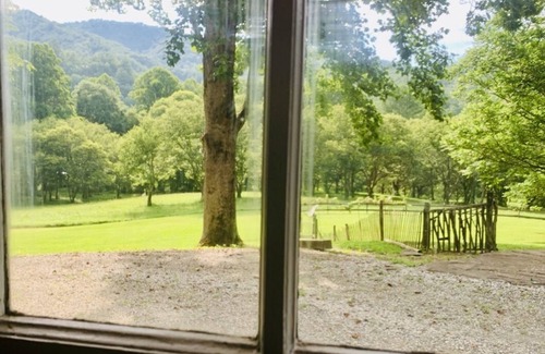 Robbinsville Apartment | The Junebug Studio