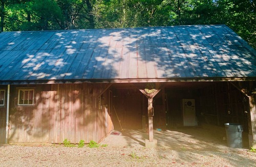 Robbinsville Apartment | The Junebug Studio