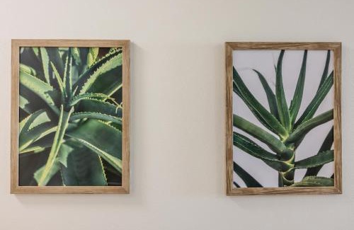 Lagoon Beach Apartment | The Lagoon Beachfront Apartment