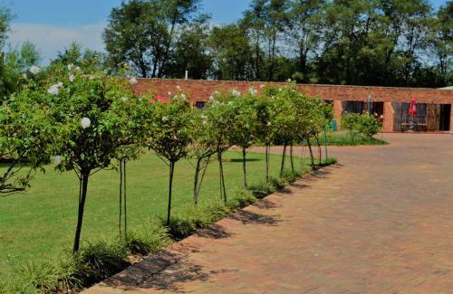 Benoni Bed & Breakfast | The Lazy Grape Guest Lodge & Spa