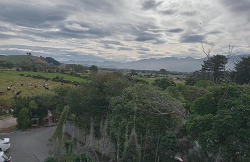 Kaikoura Cabin | The Lazy Shag Lodge