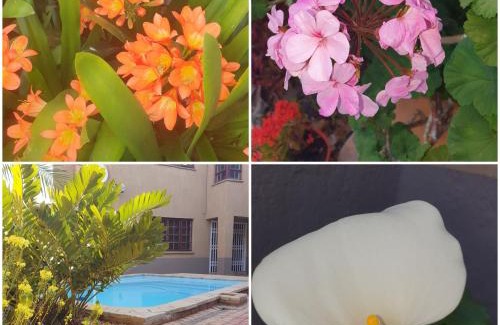 Polokwane Bed & Breakfast | The Leopard Tree