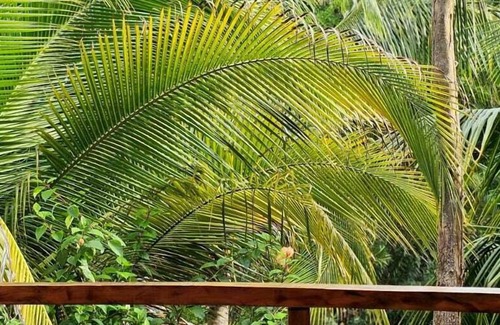 Little Corn Island Hotel | The Lighthouse Hotel and Spa