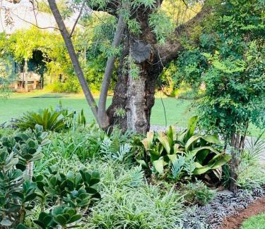 Bloemfontein House | The M-Pire Cottage