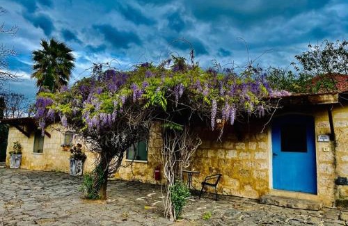 Yesod HaMa'ala Cabin | THE MANSION in yesod hamaala