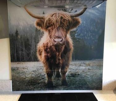 Bellerby House | The Mistal@Cow Close Barn, Leyburn - Relax, and Enjoy