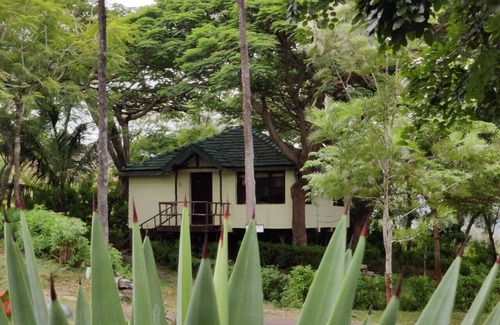 Masinagudi Hotel | The Monarch Masinagudi by Mithun Hotels