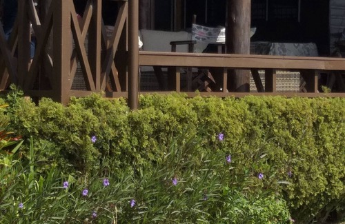 Taveuni Island East House | The most beautiful beachfront villa in Matei, Taveuni