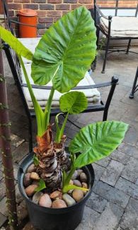 Randpark Ridge House | The Nest