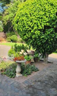 Randpark Ridge House | The Nest