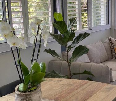 Stellenbosch Central Apartment | The Oak Suite - 7 on Murray Historic Stellenbosch