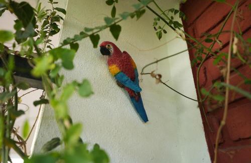 Pune House | The Oasis - Reconnect