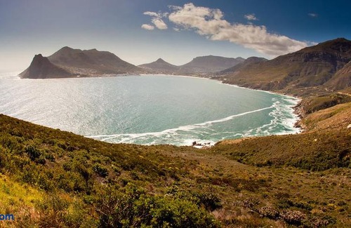 Green Point Apartment | The Odyssee 409