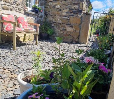 Goodwick House | The Old Vestry - pet friendly!