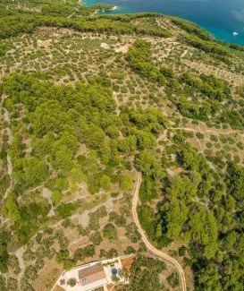 Sumartin Villa | The Olive Tree Villa