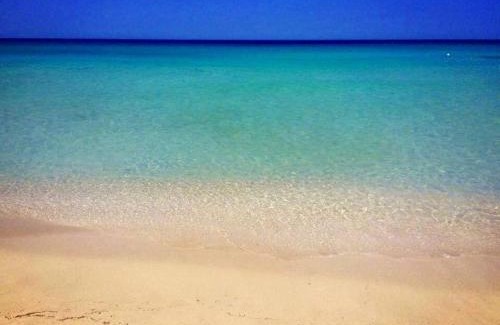 San Lorenzo Apartment | The Onames Inn flowers