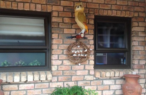 Still Bay Apartment | The Owl House