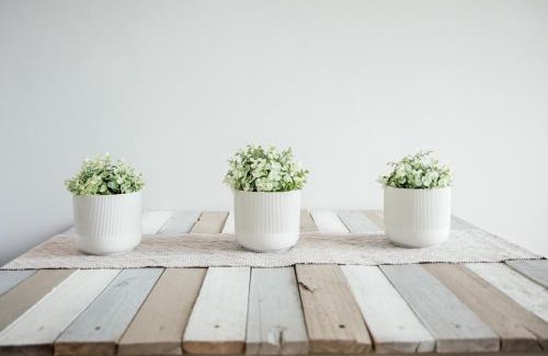 Bethlehem House | The Perfect Corner Guesthouse