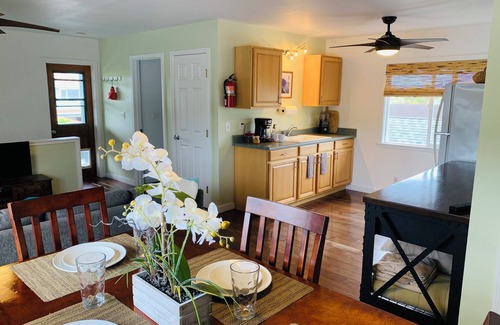 Coconut Grove Apartment | The Perfect Escape