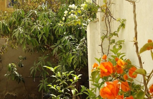 Tamiyah Villa | The perfect gate way to Disconnection