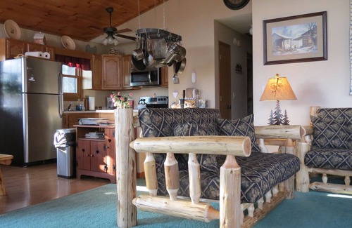 Robbinsville Cabin | The Pines Mountain Cabin - 3 Bd-2 Ba, Hot tub, Star Link