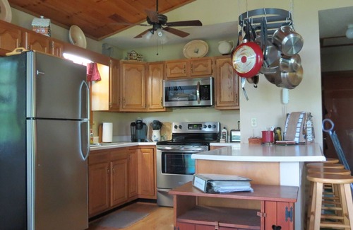 Robbinsville Cabin | The Pines Mountain Cabin - 3 Bd-2 Ba, Hot tub, Star Link