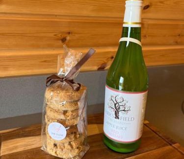 Newcastle-on-Clun Ski Chalet | The Pod Patch - Trelerney Pod