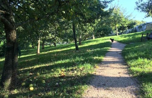 Stoke Gabriel Apartment | The Post House (Centre of riverside village)