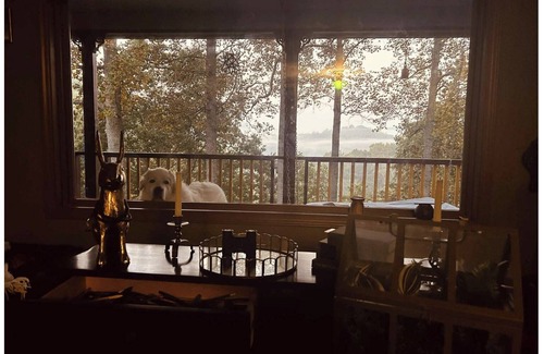 Burnsville House | The Queen of Hearts House: An Eclectic, Rustic & Royal Wonderland