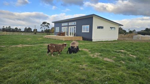 Kairanga House | The Quiet Paddock